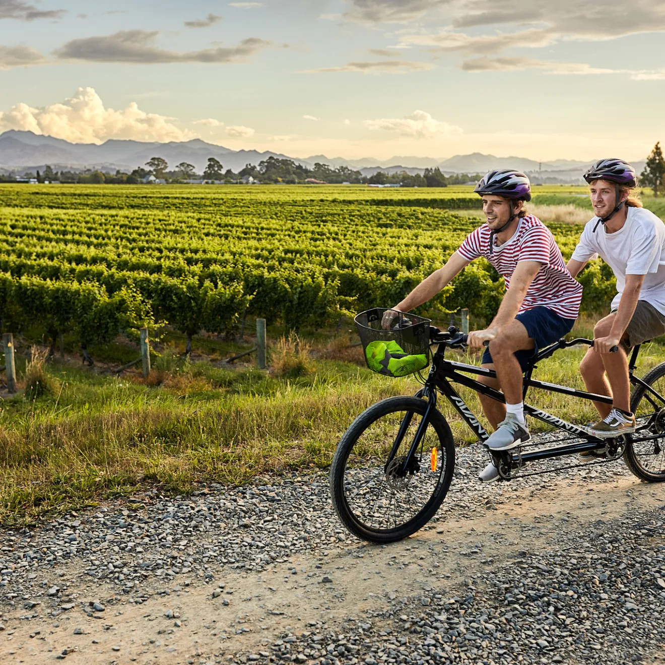 Two people riding a tandem bicycle beside a vineyard with mountains in the background.