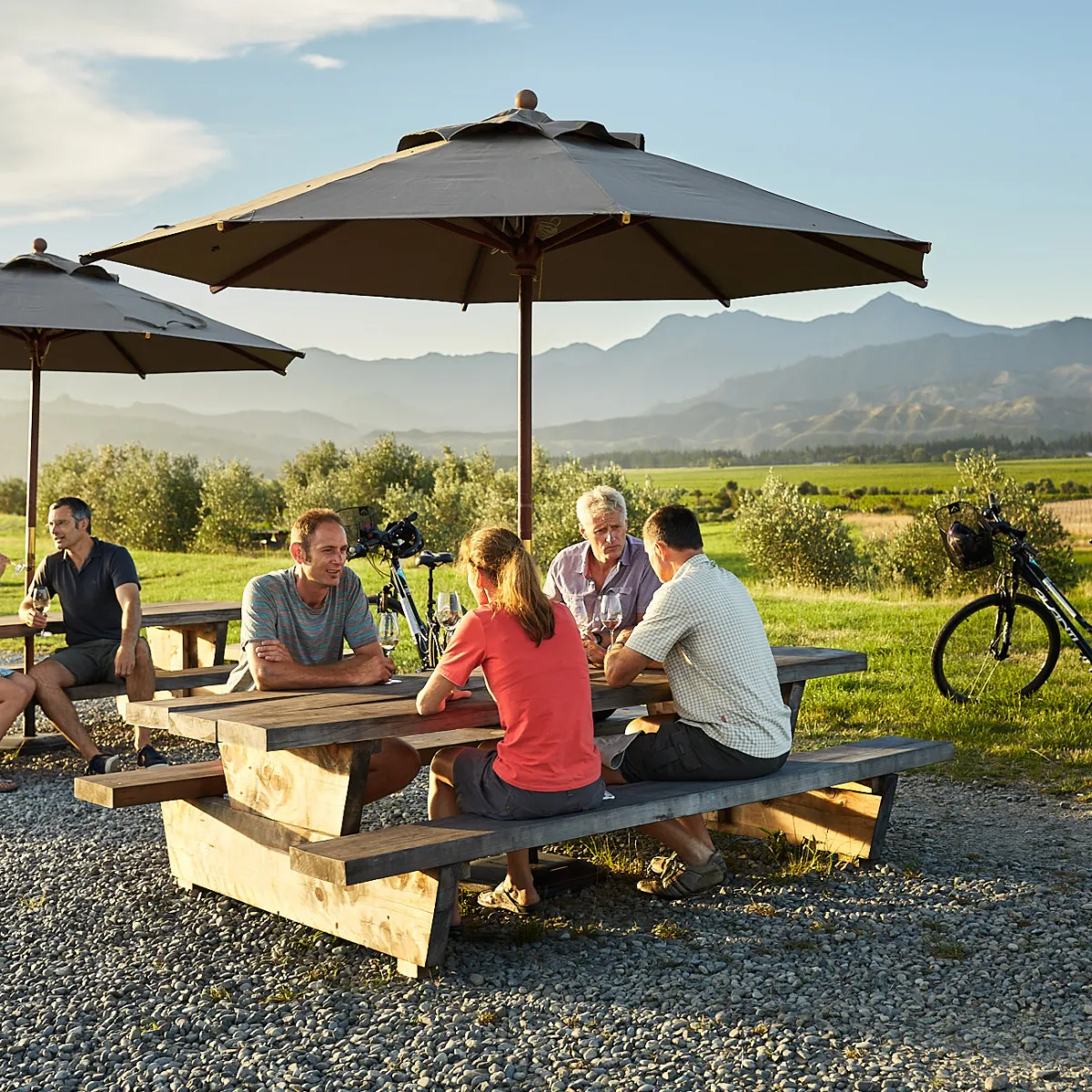 People sitting at picnic tables with umbrellas, mountains in background, bikes nearby.