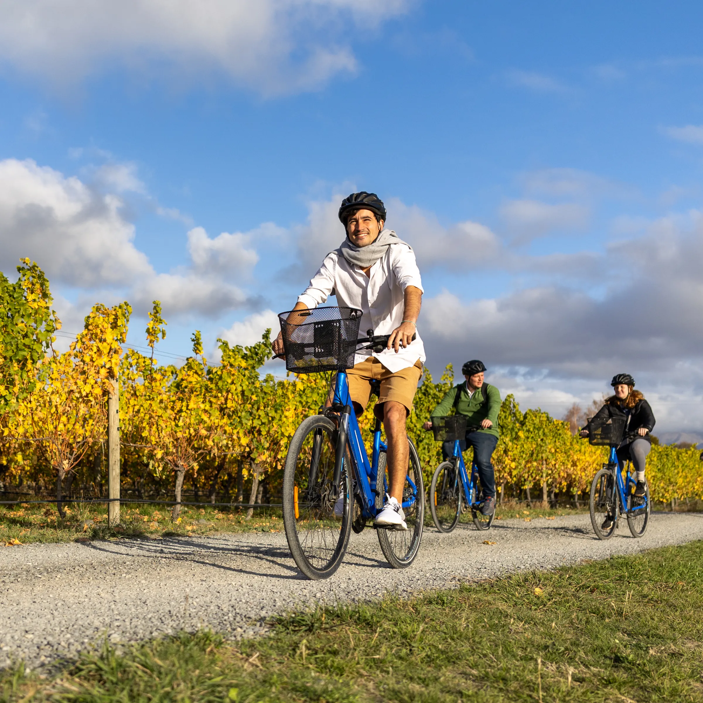 Four cyclists ride along a gravel path, flanked by vineyards on a sunny day.