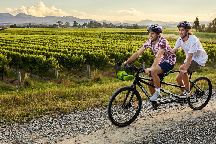 A man riding on the back of a tandem bicycle in the Marlborough Vineyards