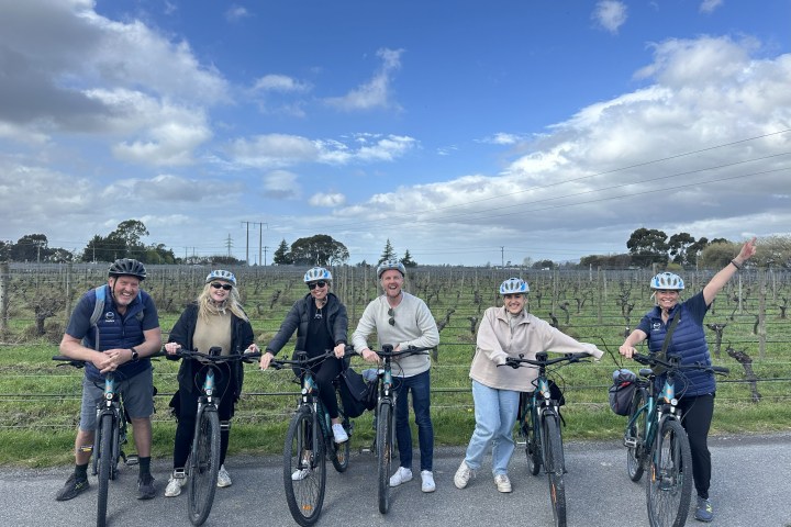 Six people with bicycles in front of a Marlborough vineyard, wearing helmets and smiling under a cloudy sky.