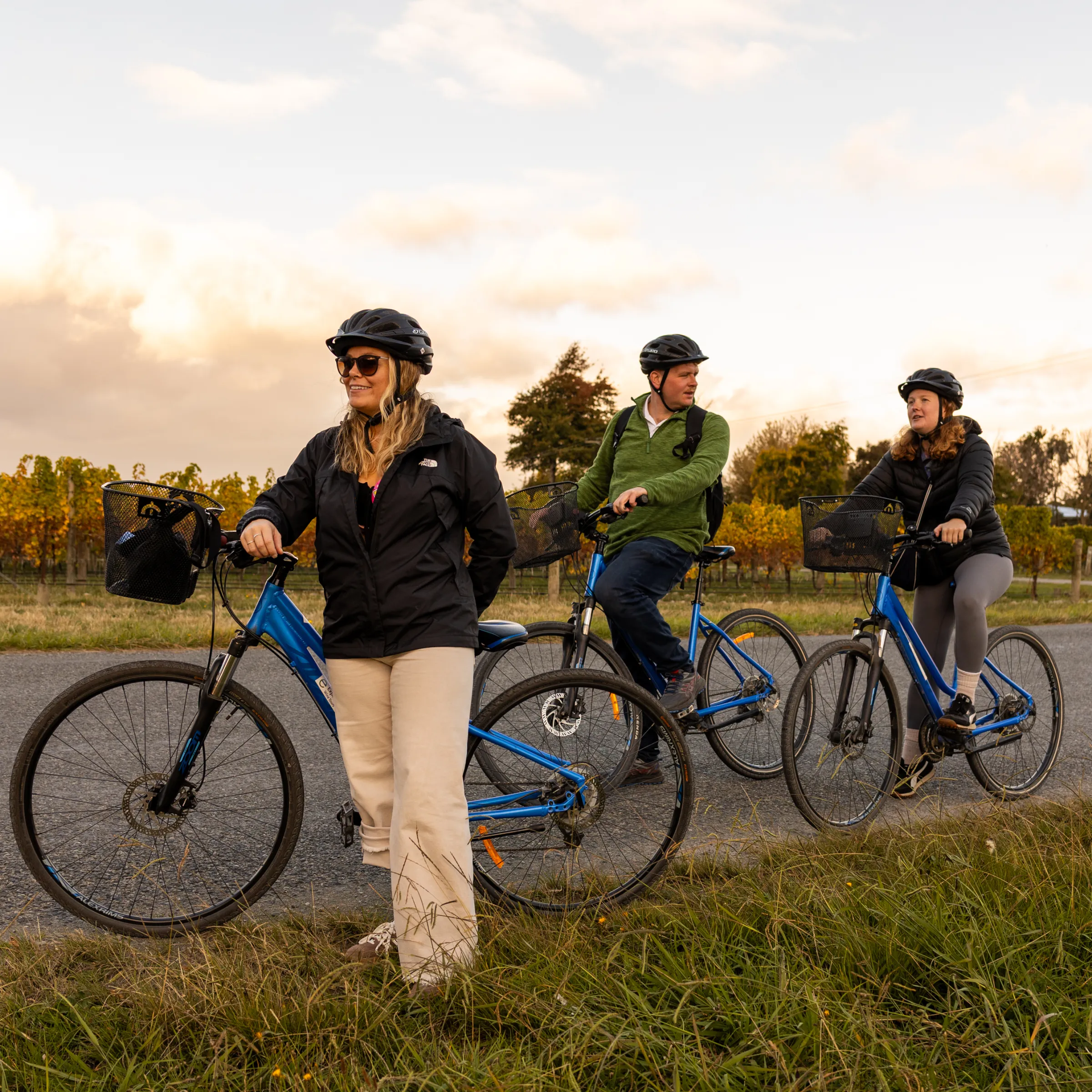 Three people on bicycles stop by a road with vineyards in the background.
